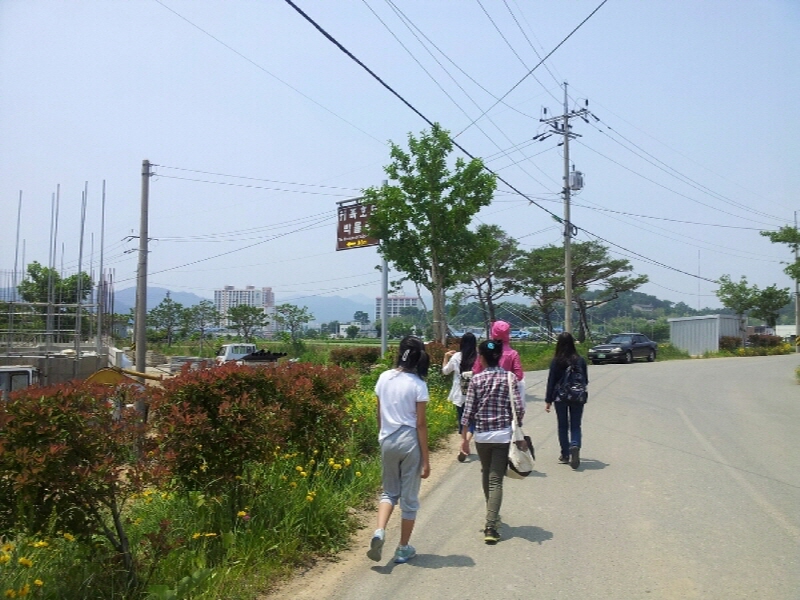 20130607_130541.jpg